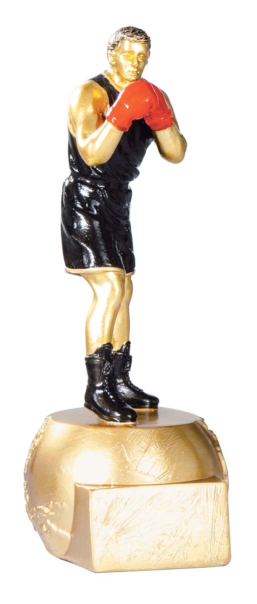 RESINA BOXEO : 20 cm