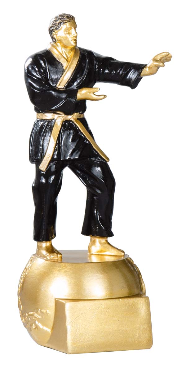 RESINA KARATE : 20 cm