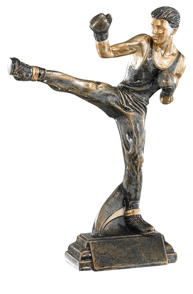 RESINA ARTES MARCIALES : 27 cm