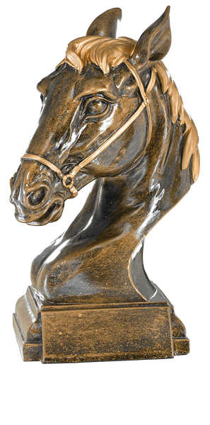 RESINA EQUITACION : 28 cm