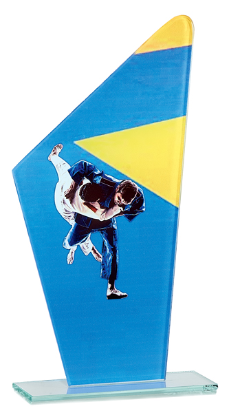 TROFEO CRISTAL KARATE : 22 cm