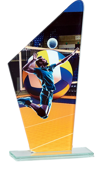 TROFEO CRISTAL VOLEIBOLL : 22 cm
