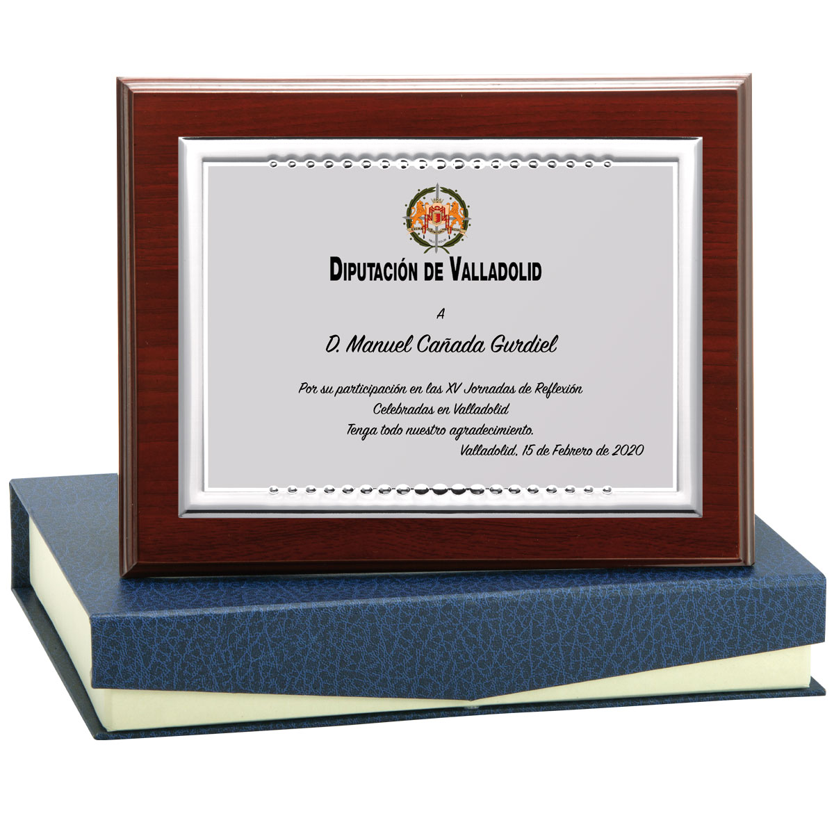 PLACA + MADERA ECONOMICA : 24 X 19 cm